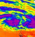 On Feb. 15 at 06:17 UTC (1:17 a.m. EST) AIRS instrument infrared data showed three areas of strong convection (purple) in System 97S. There are three areas of strong thunderstorms and convection (purple) where cloud top temperatures were so high in the atmosphere that they were as cold as or colder than -52 Celsius/-63 Fahrenheit.