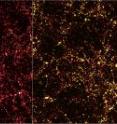 This set of images shows the distribution of the dark matter, obtained from a numerical simulation, at a redshift z~2, or when the Universe was about 3 billion years old.

The left panel displays the continuous distribution of dark matter particles, showing the typical wispy structure of the cosmic web, with a network of sheets and filaments that developed out of tiny fluctuations in the early Universe.

The central panel provides a simplified view of the complex network of dark matter structure according to the so-called halo model, a statistical approach used to describe the distribution of dark matter on both large and small scales. Within this framework, the dark matter distribution is viewed as an ensemble of discrete objects, the dark matter halos, corresponding to the densest knots of the cosmic web.

The right panel highlights the dark matter halos (shown in yellow) that represent the most efficient cosmic sites for the formation of galaxies. Only halos with a mass above a certain threshold can trigger the ignition of intense bursts of star formation, thus creating a starburst galaxy. According to the latest measurements achieved with Herschel, the minimum mass needed by a halo for a starburst galaxy to form within it is 3 x 10^11 times that of the Sun.