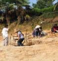 A treasure trove of fossils was found at this excavation site near Lantian village.