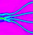 This is a simulation of classical light propagating in a multimode interference device. The multimode propagation results in equal intensity in each of the four output waveguides.