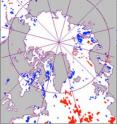 Significant trends toward earlier phytoplankton blooms (blue) were detected in about 11 percent of the area of the Arctic Ocean closest to the North Pole, delayed blooms (red) were evident to the south.