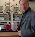 This is Tom Kozel, professor of microbiology in the University of Nevada School of Medicine, in one of his labs in the University's Center for Molecular Medicine. Kozel and the University have signed a licensing agreement with Immuno-Mycologics (IMMY) in Oklahoma to develop a point-of-care product that will allow rapid in-the-field diagnosis of the fungal meningitis Cryptococcosis, which kills millions of AIDS patients in developing countries. This is Tom Kozel, professor of microbiology in the University of Nevada School of Medicine, in one of his labs in the University's Center for Molecular Medicine. Kozel and the University have signed a licensing agreement with Immuno-Mycologics (IMMY) in Oklahoma to develop a point-of-care product that will allow rapid in-the-field diagnosis of the fungal meningitis Cryptococcosis, which kills millions of AIDS patients in developing countries.