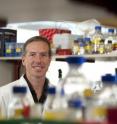 Dr. Axel Kallies from the Walter and Eliza Hall Institute in Melbourne, Australia, and his colleagues have used molecular signatures to identify a key cell population responsible for regulating the body's immune response.