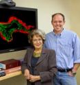 Mina Bissell and Mark LaBarge, with Berkeley Lab's Life Sciences Division, have been studying the ability of cell communities to self-organize themselves with respoect to one another into tissue.