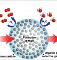 This schematic shows high-capacity magnesium nanocrystals encapsulated in 
a gas-barrier polymer matrix to create a new and revolutionary hydrogen storage composite material.