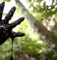 This is a person's hand covered in crude contaminates from an open toxic pool in the the Ecuadorean Amazon rainforest.