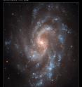 The brilliant, blue glow of young stars trace the graceful spiral arms of galaxy NGC 5584 in this Hubble Space Telescope image. Thin, dark dust lanes appear to be flowing from the yellowish core, where older stars reside. The reddish dots sprinkled throughout the image are largely background galaxies.