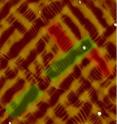 In this atomic force microscopy topography image of a special mixed phase bismuth ferrite sample, red and green shaded areas indicate two sets of mixed phase regions oriented at 90 degrees to each other.