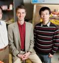 Illinois researchers developed a 3-D nanostructure for battery cathodes that allows for very rapid charge and discharge, without sacrificing capacity.