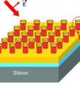 This schematic shows the architecture of the sensor developed at Princeton. 

The chip is covered with structures that feature two key components: a cavity formed by metal on the top and at the base of each pillar; and metal particles of about 20 nanometers in diameter, known as plasmonic nanodots, on the pillar wall, with small gaps of about 2 nanometers between the metal components. 

The small particles and gaps significantly boost the Raman signal. The cavities serve as antennae, trapping light from the laser so it passes the plasmonic nanodots multiple times to generate the Raman signal rather than only once. The cavities also enhance the outgoing Raman signal.