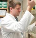 James Perfield, assistant professor of food science in the College of Agriculture, Food and Natural Resources (CAFNR), found that a specific plant oil, known as sterculic oil, may be a key in the fight against obesity.