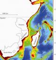 Researchers used environmental data from remote sensing satellites (such as ocean depth in this figure) to examine the genetic distinctiveness of dolphin populations located off the coasts of Oman, Tanzania, Mozambique, and South Africa.
