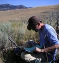 Joshua Miller studies bone survey data sheets on Yellowstone National Park's Northern Range. Miller, who completed his doctoral degree at UChicago in 2009, now is a postdoctoral research fellow at Wright State University in Dayton, Ohio.