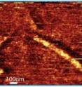 Schematic of coaxial probe for imaging a carbon nanotube (left) and chemical map of carbon nanotube with chemical and topographical information at each pixel (right).