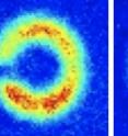 Atom circuit: False color images of an "atom circuit" made of an ultracold sodium gas. Red denotes a greater density of atoms and traces the path of circulating atoms around the ring. A laser-based barrier can stop the flow of atoms around the circuit (left); without the barrier the atoms circulate around the ring (right).