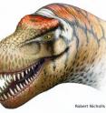 Scientists have identified a new species of gigantic theropod dinosaur, a close relative of T. rex, from fossil skull and jaw bones discovered in China.

According to findings published online April 1, 2011, in the scientific journal <i>Cretaceous Research</i>, the newly named dinosaur species “<i>Zhuchengtyrannus magnus</i>” probably measured about 11 metres long, stood about 4 meters tall, and weighed close to 6 tons.

Comparable in size and scale to the legendary <i>T. rex</i>, this new dinosaur is one of the largest theropod (carnivorous) dinosaurs ever identified by scientists.