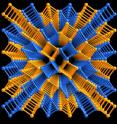 This 3-D image illustrates a lattice composed of columns of squares that represent repeating molecular structures, one rotated clockwise (colored blue) and another counterclockwise (colored orange) with respect to each other. Such structures have many more symmetries than had been recognized before a new way of understanding the structure of proteins, polymers, minerals, and engineered materials was discovered by Venkatraman Gopalan and Daniel B. Litvin at Penn State Unviersity (to be published in May 2011 in Nature Materials). The discovery, a new type of symmetry in the structure of materials, greatly expands the possibilities for discovering or designing materials with desired properties. The research is expected to have broad relevance in many development efforts involving physical, chemical, biological, or engineering disciplines including; for example, the search for advanced ferroelectric ferromagnet materials for next-generation ultrasound devices and computers. This 3-D image illustrates a lattice composed of columns of squares that represent repeating molecular structures, one rotated clockwise (colored blue) and another counterclockwise (colored orange) with respect to each other. Such structures have many more symmetries than had been recognized before a new way of understanding the structure of proteins, polymers, minerals, and engineered materials was discovered by Venkatraman Gopalan and Daniel B. Litvin at Penn State Unviersity (to be published in May 2011 in Nature Materials). The discovery, a new type of symmetry in the structure of materials, greatly expands the possibilities for discovering or designing materials with desired properties. The research is expected to have broad relevance in many development efforts involving physical, chemical, biological, or engineering disciplines including; for example, the search for advanced ferroelectric ferromagnet materials for next-generation ultrasound devices and computers.