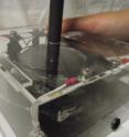 This image shows a hand-pumped soft generator the researchers are using to demonstrate it. This image shows a hand-pumped soft generator the researchers are using to demonstrate it.