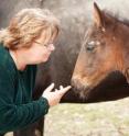 "Because our patients can't talk to us, we have to figure out what's wrong with them based on physical examination and testing and histories given by their owners," said Pamela Wilkins, a professor of equine internal medicine and emergency/critical care at the University of Illinois and author of a new paper on equine neonatal intensive care.