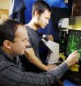 Georgia Tech civil and environmental engineering assistant professor Kostas Konstantinidis (left) and biology graduate student Chengwei Luo examine environmental and clinical <I>E. coli</I> cells, which cannot be differentiated with microscopy techniques.
