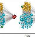 Brain regions function coherently together as modules (here shown in gold, blue, and red). A flexible brain region (shown in green) is one that changes module allegiance at different points in time.