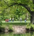 Research confirms that the impacts of parks and green environments on human health extend beyond social and psychological health outcomes to include physical health outcomes.