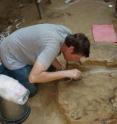 CU-Boulder researcher John Hoffecker, shown here working at a site in Russia dating back 45,000 years, believes there is mounting archaeological evidence for the evolution of a human "super-brain" no later than 75,000 years ago that spurred a modern capacity for novelty and invention.