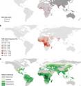 These maps show the worldwide distribution of the mutation responsible for the sickle cell trait (a and b) and of malaria incidence (c). Regions where the sickle cell mutation occurs overlap neatly with areas in Africa where malaria is endemic.