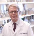 Huntington Potter, Ph.D., was principal investigator for the study investigating the effects of beta amyloid on the mitotic spindle.
