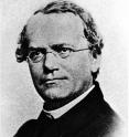 This is Gregor Johann Mendel.