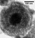 This is a transmission electron micrograph (TEM) showing nanoparticles from the Pacific's Kilo Moana vent. This is a transmission electron micrograph (TEM) showing nanoparticles from the Pacific's Kilo Moana vent.