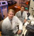 Nitric oxide gas appears to directly impact the source of the classic, disabling pain crises of sickle cell disease, Georgia Health Sciences University researchers report. Dr. C. Alvin Head, Chairman of GHSU's Department of Anesthesiology, and Dr. Tohru Ikuta, GHSU molecular hematologist, collaborated on the research.