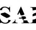 Companies have used incomplete typefaces to create brand logos, but these stylized approaches intended to generate visual interest have positive and negative influences on consumer perceptions about a company, according to surveys conducted by a Boston College professor. Altered typefaces can result in a firm being perceived as inventive, but also raise questions about the company's trustworthiness, according to Henrik Hagtvedt, a professor of marketing at the Carroll School of Management.