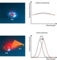Top figure shows hydrogen molecules (red) absorbed on a palladium nanoparticle, resulting in weak light scattering and barely detectable spectral changes. Bottom figure shows gold antenna enhancing light scattering and producing an easy to detect spectral shift. Top figure shows hydrogen molecules (red) absorbed on a palladium nanoparticle, resulting in weak light scattering and barely detectable spectral changes. Bottom figure shows gold antenna enhancing light scattering and producing an easy to detect spectral shift.