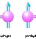Hydrogen molecules consist of two hydrogen atoms that share their electrons in a covalent bond. In an orthohydrogen molecule, both nuclei are spin up. In parahydrogen, one is spin up and the other spin down. The orthohydrogen molecule as a whole has spin one, but the parahydrogen molecule has spin zero.