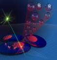 The image illustrates the quantum measurement carried out on a single atom quantum sensor in a living human HeLa cell. The atom sensor is encased in a nanodiamond particle and is controlled by external microwaves and laser light, and tracked by its emission of red light. The information gleaned is of a quantum nature, where the states of the atom exist in two quantum states at the same time prior to measurement. The measurement and control of the atom sensor provides information about the nanoscale environment of the cell and the motion and orientation of the nanoparticle, which could be used in the development of new drugs and delivery systems for nanomedicine.