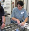 Scientist Mimi Katz looks at core samples; she will later identify microscopic plankton fossils.