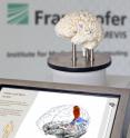 This is the Fraunhofer MEVIS neuro exhibit.