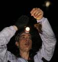 Paper co-author Dr. Joanna Coleman of the University of Calgary extracts a little brown bat from netting.