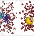 A new method has allowed realistic simulation of complex fluids for the first time. With the "coarse graining" method, physicists from Forschungszentrum Juelich, the University of Vienna, the University of Rome, and the Institut Laue-Langevin used spheres (on the right) to replace the complex macromolecules of the mixture of star polymers (yellow and blue) and linear polymers (red) shown on the left. They integrated the eliminated information as averages into the simplified system so that the characteristics of the substances were retained. Neutron scattering experiments were used to demonstrate the success of the method.