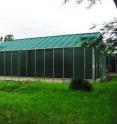 This photo shows an enclosed greenhouse in Kenya where experiments were conducted.  The greenhouse contained two faux huts with carbon dioxide-emitting traps placed in each of them.