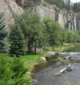 Didymo is present at many points along Rapid Creek, S.D., and in pristine streams and rivers worldwide.