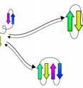 This graphic shows the process of predicting protein folding. This graphic shows the process of predicting protein folding.