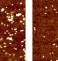 After gold nanoparticles are trapped on the brown collection surface (left), the NIST team can apply a mild electric field and release most of them (right). The ability to trap and release particles in this fashion could aid in studying their properties, particularly with respect to their effects on human health.