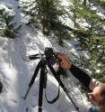 The mountain pine beetle infestation decimating the high country in Colorado and the West may trigger earlier snowmelt and increased water yields, says a new CU-Boulder study. Tevis Blom, shown here taking a hemispheric photo of a tree canopy, was one of four undergraduates who participated in the study.