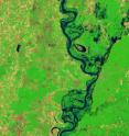 The Landsat 5 satellite Thematic Mapper captured this images on June 11, 2011. In this false-color images, water is navy blue. Depending on land use, land above water is green or burnt orange. The image is rotated, with the left sides facing north.
