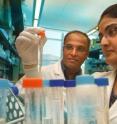 Dr. Anil G. Cashikar (left) and Graduate Student Juhi Ojha have identified a natural mechanism for managing high levels of toxic amyloid beta peptide that occurs in Alzheimer's disease.