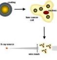 A new diagnostic technique can spot tumor-like masses as small as 5 millimeters in the liver. Gold nanoparticles with a polyelectrolyte coating can make smaller tumors more visible through X-ray scatter imaging, enabling earlier diagnosis.