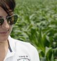 Kiersten Wise's research shows that fungicide use on corn without the presence of disease does not produce higher yields.