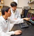 Zezong Gu, right, M.D., Ph.D., assistant professor of pathology and anatomical sciences at MU, and Fajun Meng, an MU visiting scholar, examine a model of parkin clusters. Their research yields new details about how parkin proteins and pesticides contribute to Parkinson's disease. After Alzheimer's disease, Parkinson's disease is the most common neurodegenerative disorder.